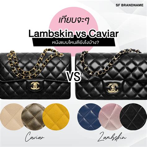 chanel woc lambskin vs caviar|GUIDE TO CHANEL: CAVIAR VS LAM.